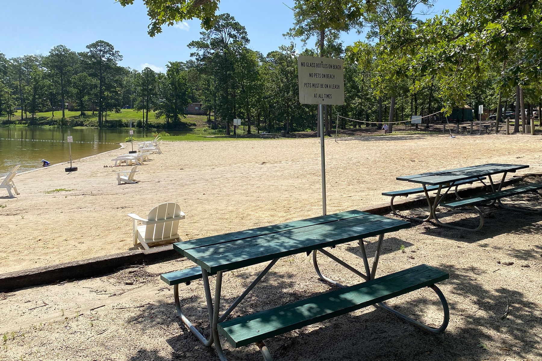 Beach Picnic Table